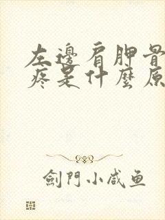 左边肩胛骨后背疼是什么原因引起的