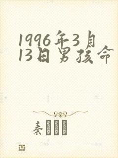 1996年3月13日男孩命运