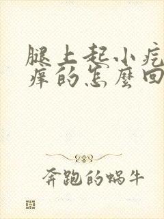 腿上起小疙瘩痒痒的怎么回事封面