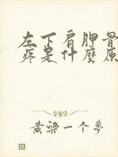 左下肩胛骨后背疼是什么原因引起的