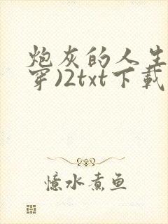 炮灰的人生(快穿)2txt下载