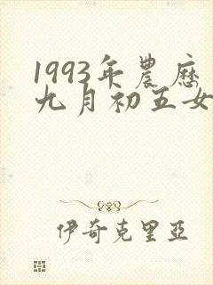1993年农历九月初五女命封面
