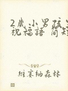 2岁小男孩生日祝福语 简短独特封面