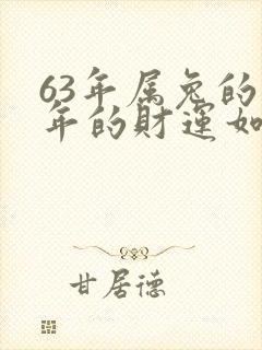63年属兔的今年的财运如何