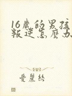 16岁的男孩子叛逆怎么办