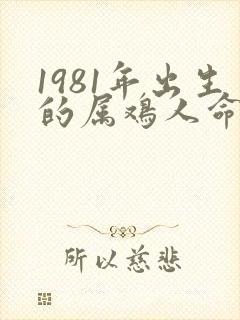 1981年出生的属鸡人命运怎样