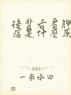 后背右肩胛骨疼痛是什么原因引起的