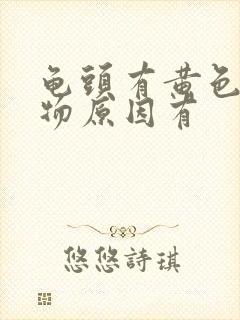 龟头有黄色分泌物原因有封面