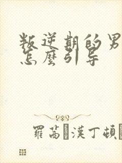 叛逆期的男孩子怎么引导封面