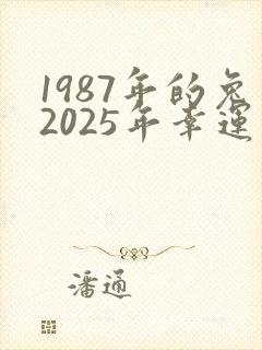 1987年的兔2025年幸运色