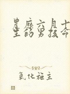 农历六月十四出生的男孩命运