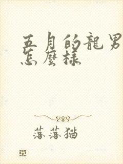五月的龙男命运怎么样封面