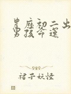 农历初二出生的男孩命运