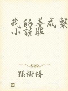 我的养成系女友小说版