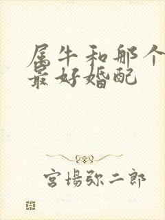 属牛和那个属相最好婚配封面