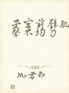 子宫前壁肌层回声不均匀