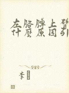 左胳膊上臂疼痛什么原因引起的