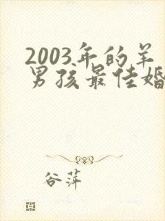 2003年的羊男孩最佳婚配属相