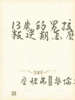 13岁的男孩子叛逆期怎么办封面