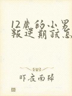 12岁的小男孩叛逆期该怎么办封面