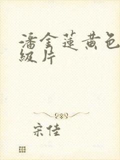 潘金莲黄色,一级片