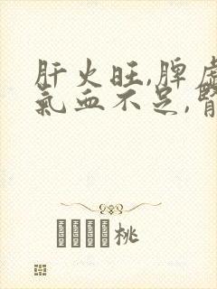 肝火旺,脾虚,气血不足,肾气不足封面