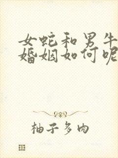 女蛇和男牛相配婚姻如何呢封面