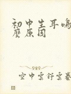 初中生耳鸣是什么原因