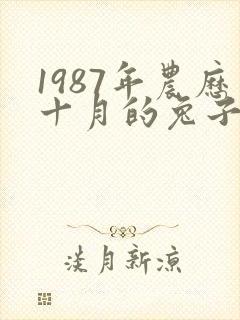 1987年农历十月的兔子什么命