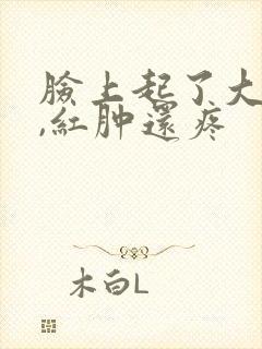 脸上起了大疙瘩,红肿还疼封面