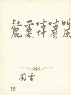 肚子咕咕叫老放屁是什么原因封面