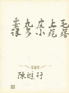 睾丸皮上毛囊有很多小疙瘩