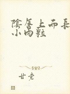 阴唇上面长了个小肉粒封面