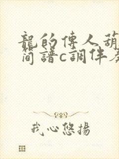 龙的传人葫芦丝简谱c调伴奏