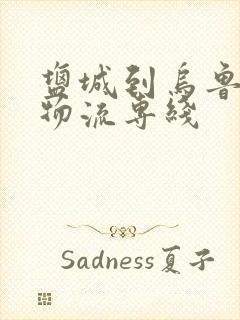 盐城到乌鲁木齐物流专线