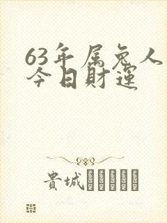 63年属兔人的今日财运