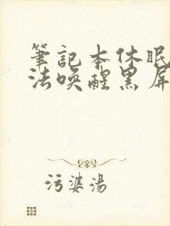 笔记本休眠后无法唤醒黑屏