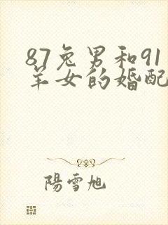 87兔男和91羊女的婚配