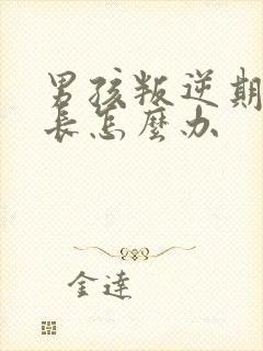 男孩叛逆期时家长怎么办