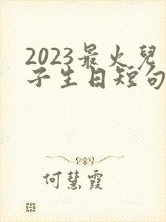 2023最火儿子生日短句