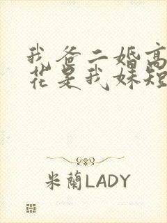 我爸二婚高冷校花是我妹短剧后续