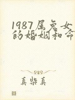 1987属兔女的婚姻和命运