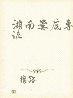 湖南娄底专线物流