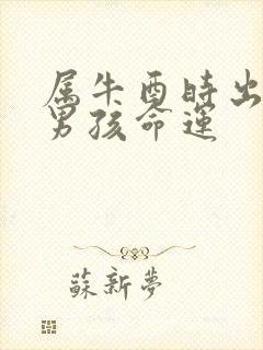 属牛酉时出生的男孩命运