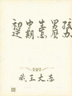 初中生男孩子叛逆期怎么办