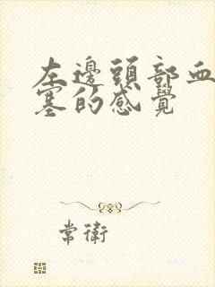 左边头部血管堵塞的感觉