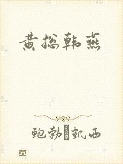 黄总韩燕封面