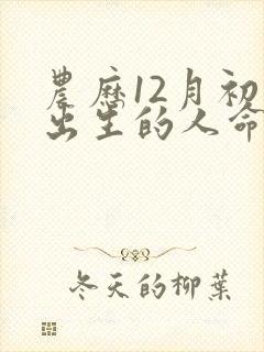 农历12月初六出生的人命运