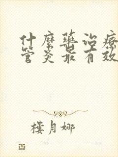 什么药治疗支气管炎最有效