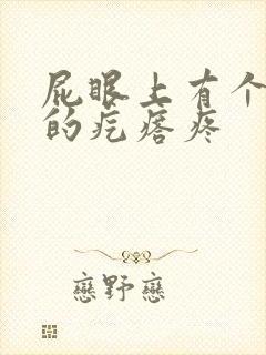 屁眼上有个硬硬的疙瘩疼